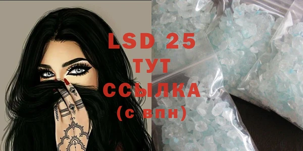 прущие грибы Бугульма