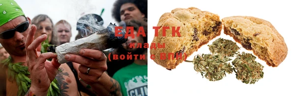 mdpv Бородино