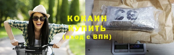 mdpv Бородино