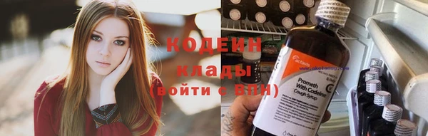 прущие грибы Бугульма