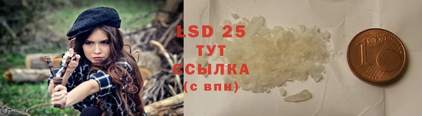 прущие грибы Бугульма