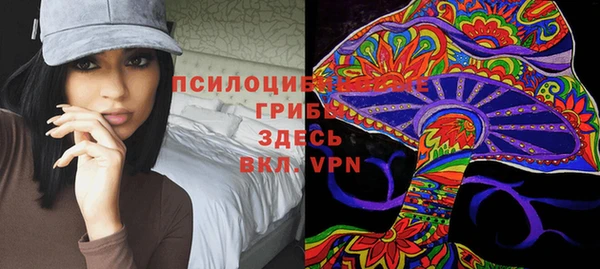 прущие грибы Бугульма